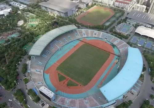 无锡体育馆门票大甩卖：2026年黄道吉日里的运动大乱斗