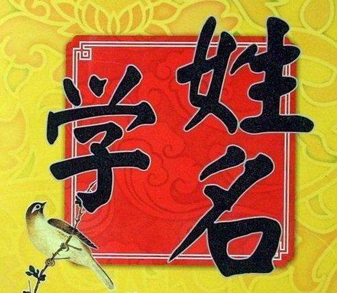 桐姓名学中，女生名字桐字有哪些吉凶寓意和美好寓意？