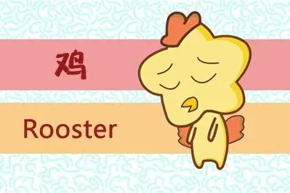 属鸡男一辈子的情感生活
