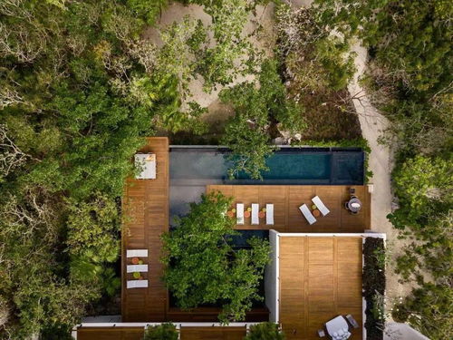 东北朝向的花园,花园口在哪里