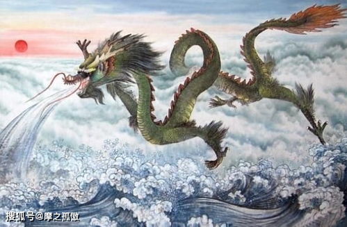 属龙人与  属龙  人在一起会怎么样？