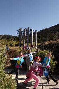 深度游：探索金龙水寨的奥秘（碎碎念）