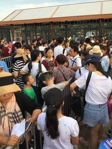 虚假日人潮汹涌：景区生存法则