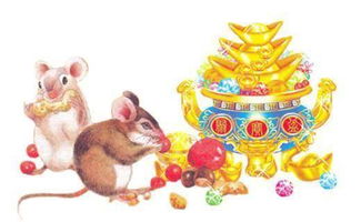 第五一部分：真实实案例分享