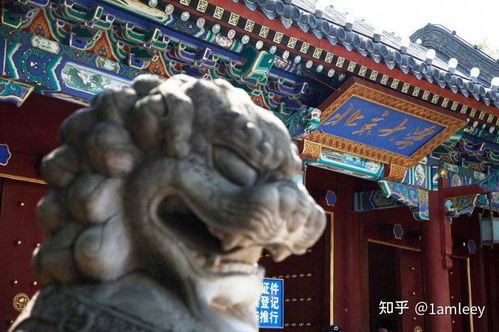 从“象牙塔”到“游客围城”：北巨大清华的游玩化陷阱