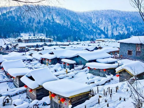第六天：雪乡童话世界与哈尔滨冰雪大世界