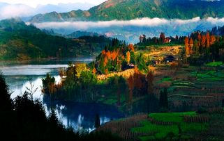 金顶kan瓦屋山,瓦屋山有什么花