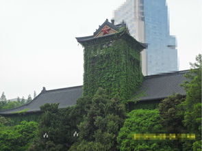4. 紫金山天文台