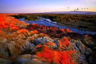 且末县：岩画与红枣的隐藏副本