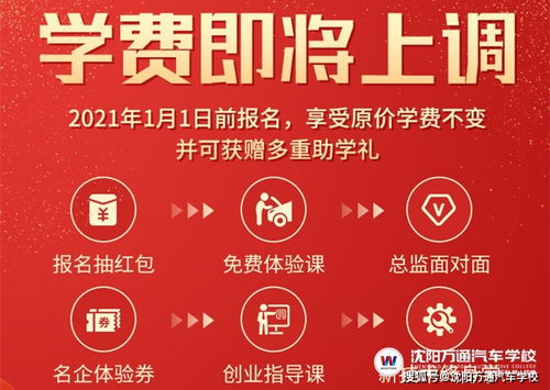 吉日查询工具？不如掷骰子！