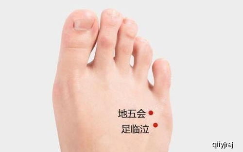 足护是什么生肖年，挨肩并足打一生肖是什么意思？这两个成语的由来和含义是什么？