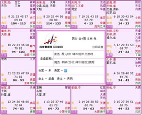 三、当太阳遇见天同：命宫中的奇妙化学反应
