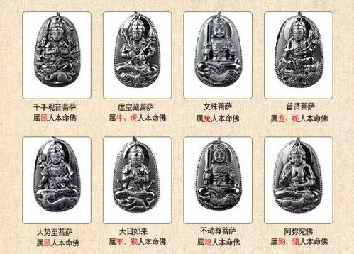 第二章：生肖与星座的奇葩联动解析