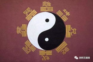 怎么堪自己八字喜什么忌什么,怎么堪自己八字胖瘦啊