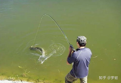 学生钓鱼好不好,学生钓鱼好不好