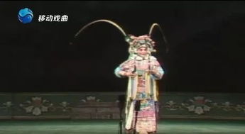 屠家宝贝——文武双全的“奇葩”名字到底想干嘛？