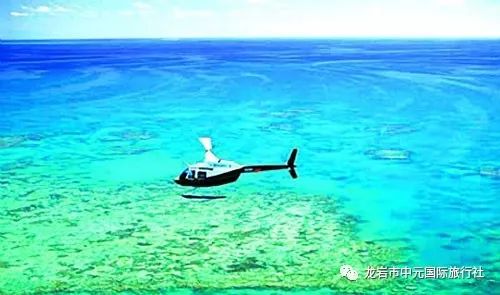 探秘海底世界，与海洋亲密接触