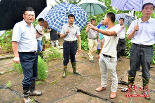 二、实战演练：现场应急预案落实情况