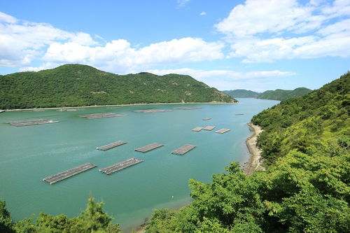 一、 千岛湖门票市场价格详解
