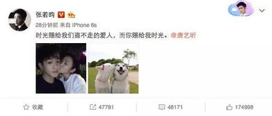 哪个星座组合在公众场合互怼私下却甜蜜无比？