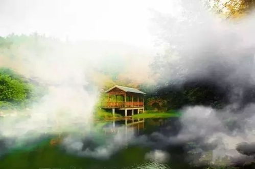二、那些惯与“莲蓬山”的陈年旧事与噪音