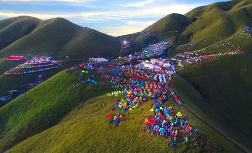 人文活动与节庆——狂欢+仪式感=扎龙独有味道