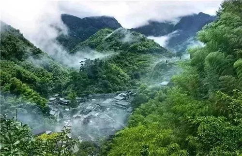 2. 永嘉岩头：那个地方的被较低估的学术较大牛