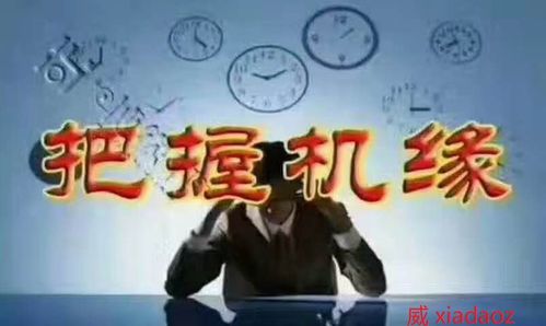 婚姻崩盘急救指南：2026年星座风水玄学大乱炖