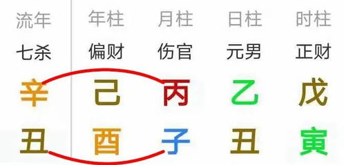 雷军八字命理分析能否准确预测其造车事业成功？