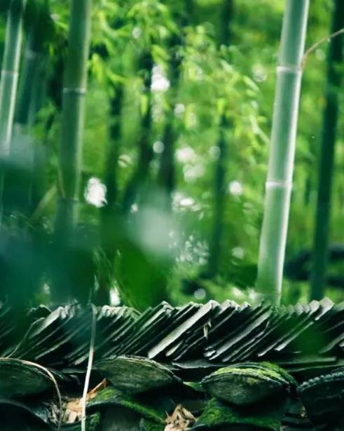 三、 利用天然界与文化底蕴元素——更具象征意义