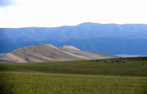 巴里坤：草原深处的生命哲学