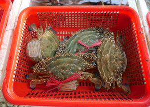 差点被坑的经历