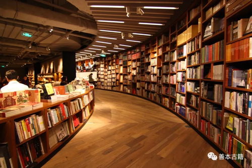 未来展望：继续打造文化空间