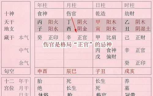 白姓小王子， 八字密码里的名字