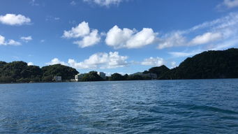 金湖旅游：美照背后的血泪史