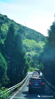 真实案例？看完想退票！