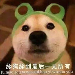 当代舔狗の自我修养