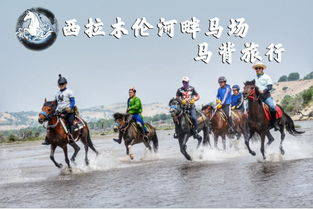 四、 隐藏彩蛋：找不到的黄金双璧