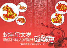 四、 特殊情况应急方案（写得乱七八糟）