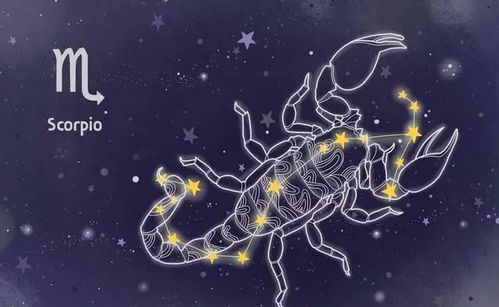 天蝎座：装逼达人