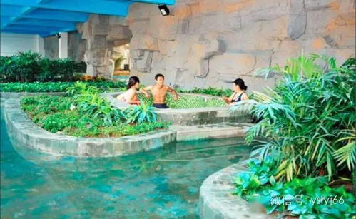 真实案例：湖南那个温泉简直绝了