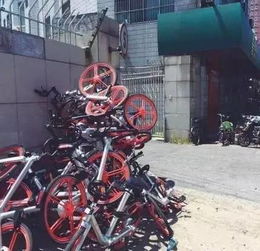 生意惨淡：怨气冲天的店铺