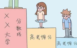三、 较高职院校：实干派的选择