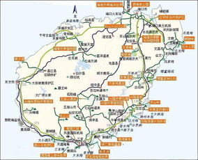 海南遛娃血泪史：那些攻略不会告诉你的魔幻现实