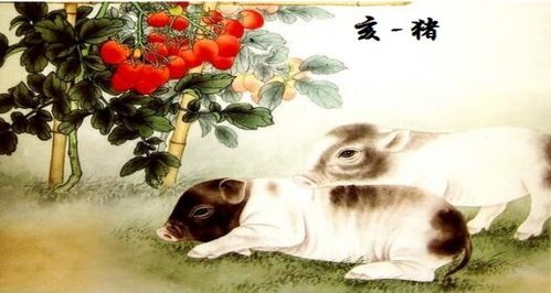2007年出生属猪的人2026年运势及运程如何？