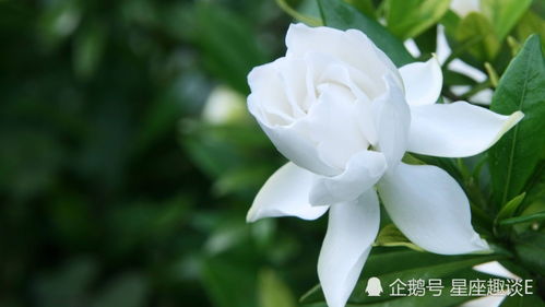 五月份哪些生肖将乘风破浪，喜上眉梢，邂逅真爱？