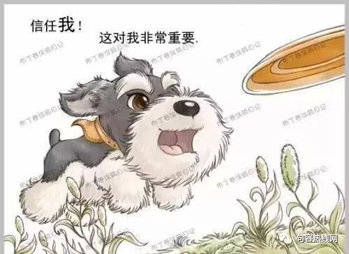 终局——狗年的呜咽与永别之谜