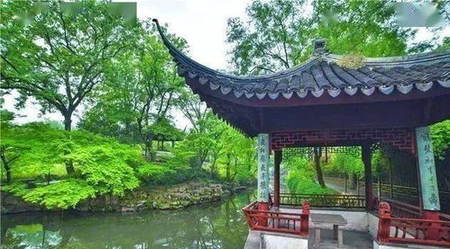 拙政园：四大名园之首的春日韵味
