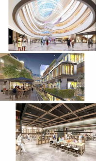 3.1 政府的角色：甩手掌柜还是幕后推手？