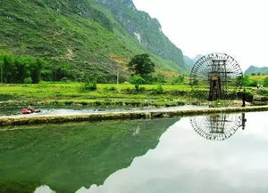 2026年度坑爹套餐推荐